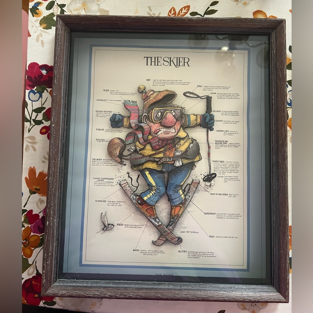 Framed The Skier 3D Art